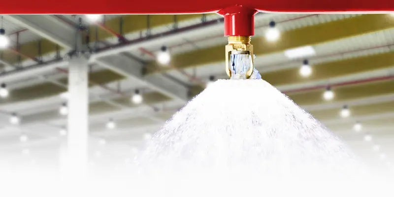 Fire Sprinkler System